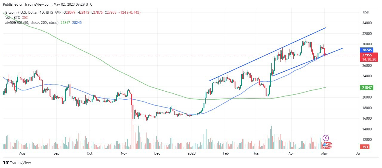 Why The Bitcoin Price Is Crashing to $25k, While Love Hate Inu Pumps To $10 Million