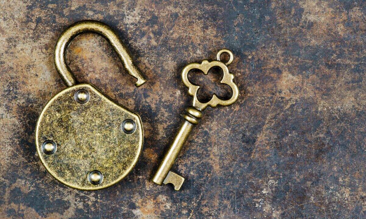 APT, SOL, TRUMP Lead the Pack