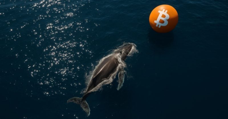 Whale deposits $3.72M USDC into Hyperliquid, opens $27.7M BTC long