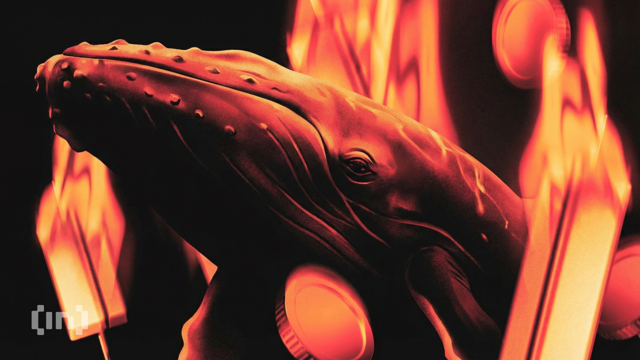 Smart Money Buys Cardano While Retail Exits: What It Signals